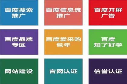 搜索引擎营销（SEM）公司某某的客户成功故事